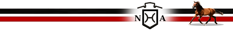 Header Logo