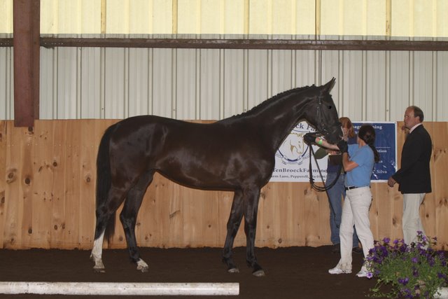 Reminisce HM in-hand as a 2 year old with Heidi
