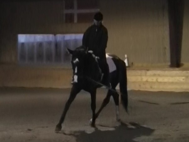 Heidi working with Linda riding Riley at less than 1 month of training.