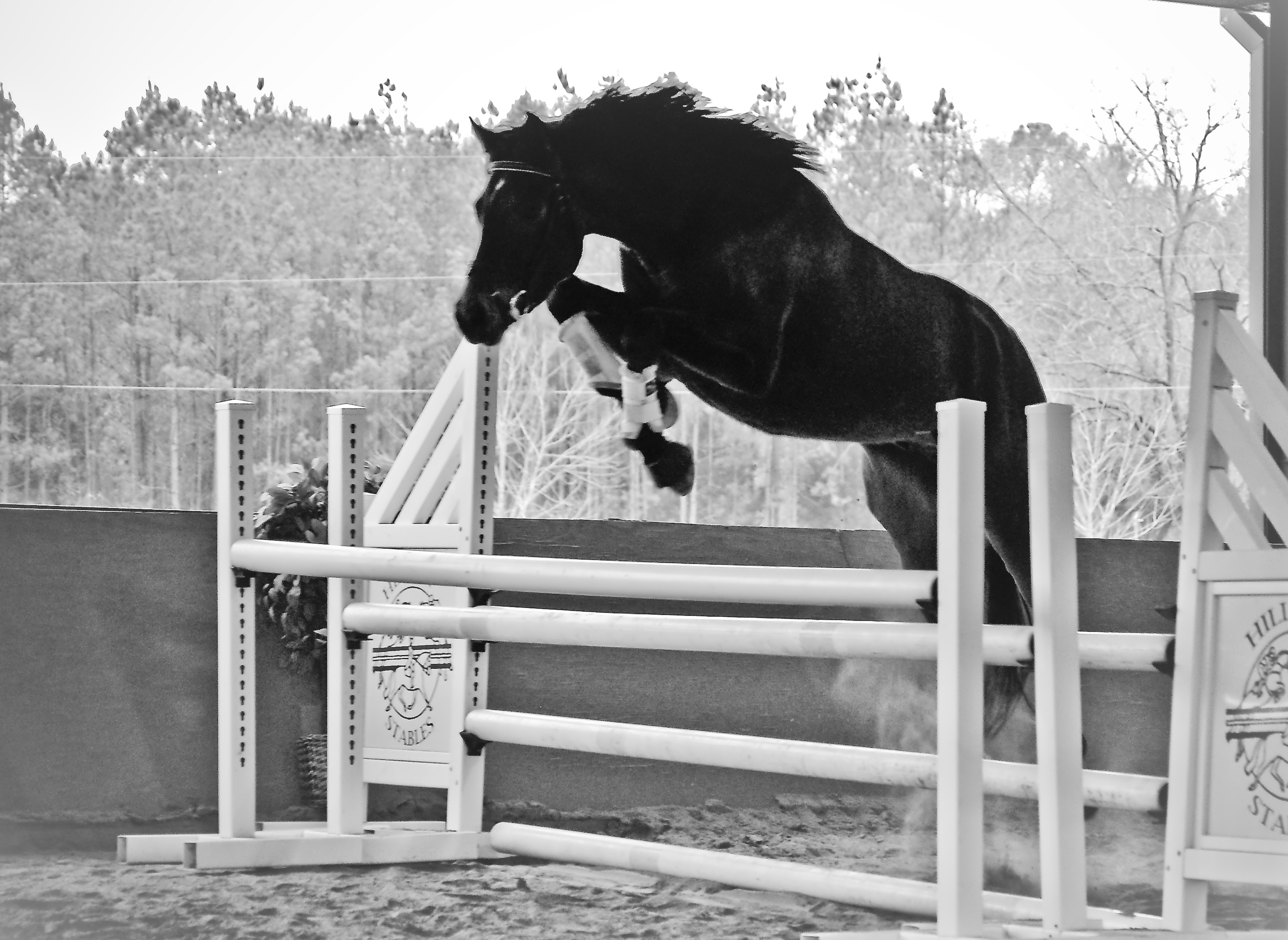 Solitaire Welt HTS (by Soliman de Hus)