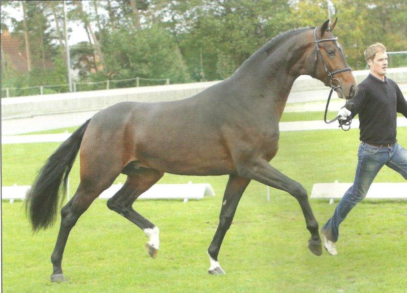 Sir James