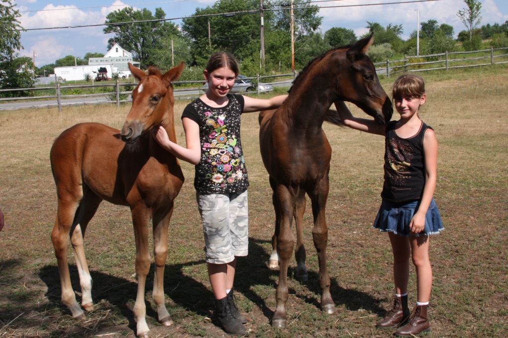 The Girls