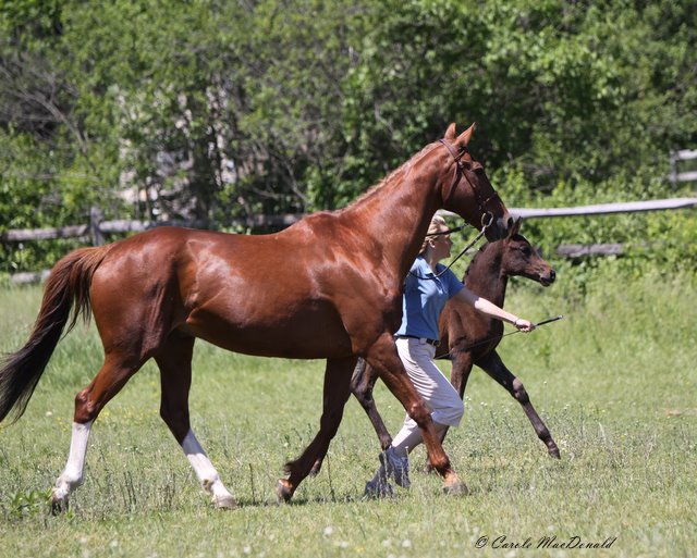 Even Jack trotted the triangle, not bad for 24 years old!